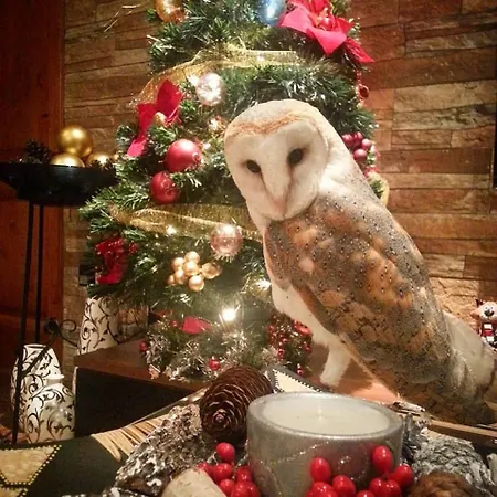 Sunshine Court Budget St. Paul's Bay